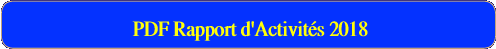   PDF Rapport d'Activités 2018